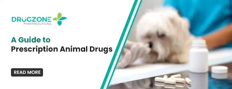A Comprehensive Guide to Prescription Animal Drugs