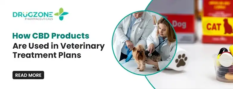 How CBD Products Are Used in Veterinary Treatment Plans